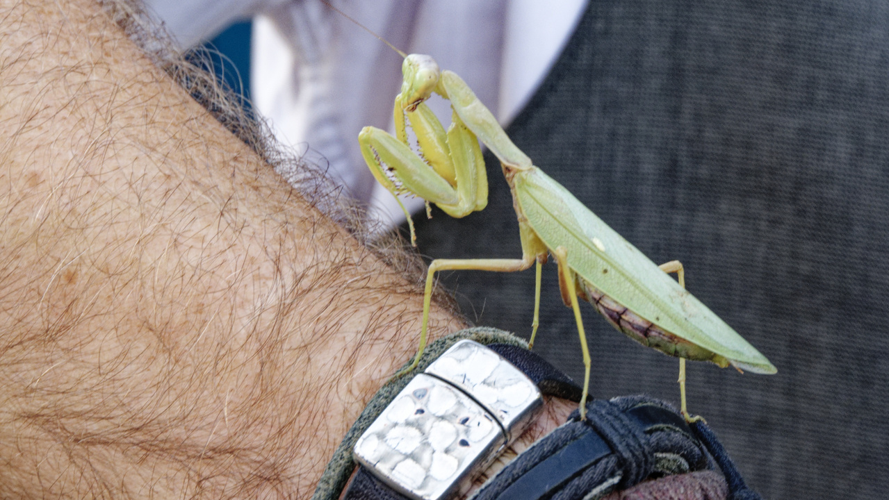 20221102 102817•Paleokastrites•Ionian Islands•Greece